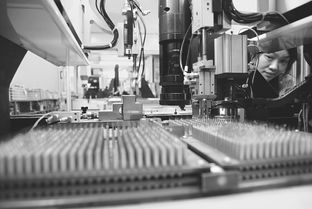 南陽日報多媒體數字報刊平臺,南陽日報多媒體數字報刊平臺,南陽,南陽日報,南陽網,南陽社區