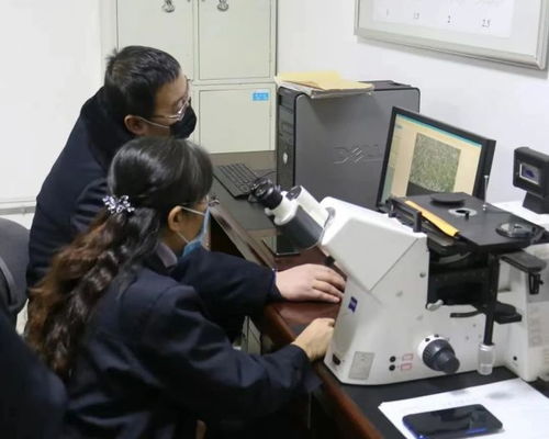 科技創(chuàng)新為發(fā)展賦能 包鋼股份成功研發(fā)高強度熱處理鋼軌 實現(xiàn)首次出口