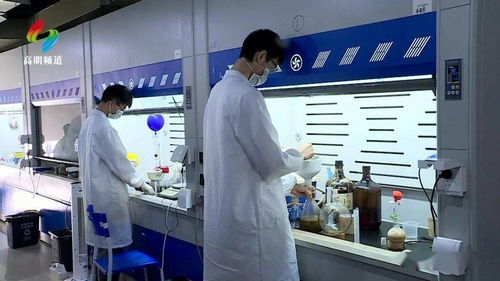 筑巢引鳳 荷城這個(gè)產(chǎn)業(yè)平臺(tái)打造科技創(chuàng)新 新引擎