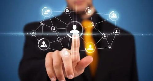 中世華安 企業為何需要“三位一體”管理咨詢服務